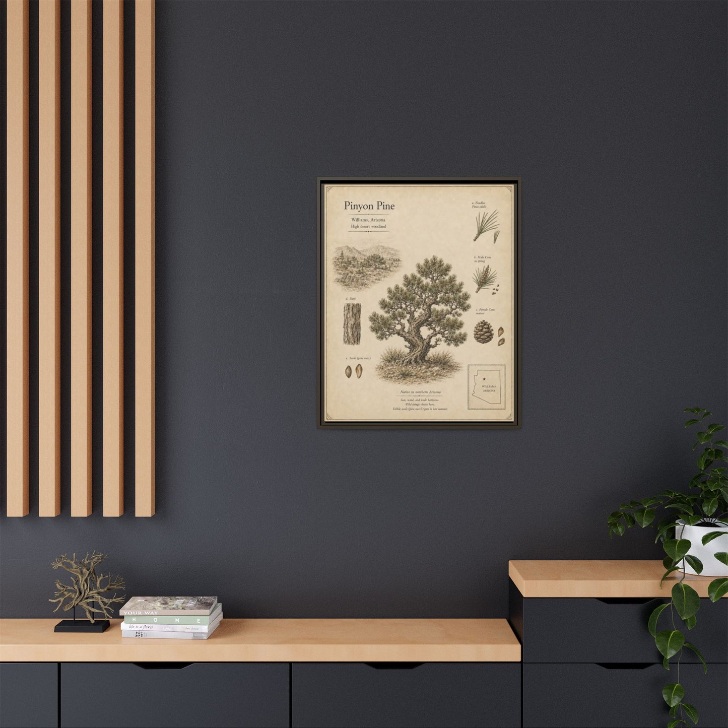 Pinyon Pine Botanical Print - Framed Matte Canvas Wall Art