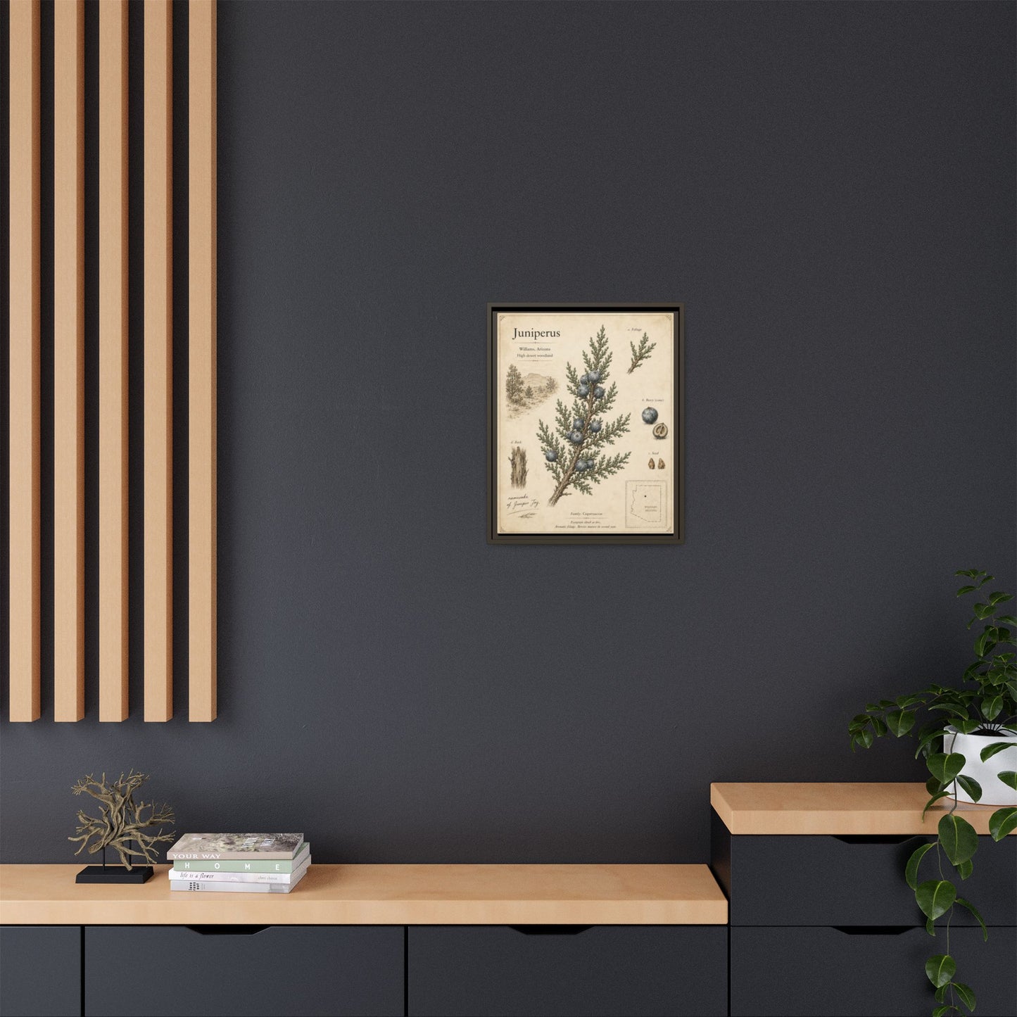 Juniperus Botanical Print — Framed Matte Canvas Wall Art