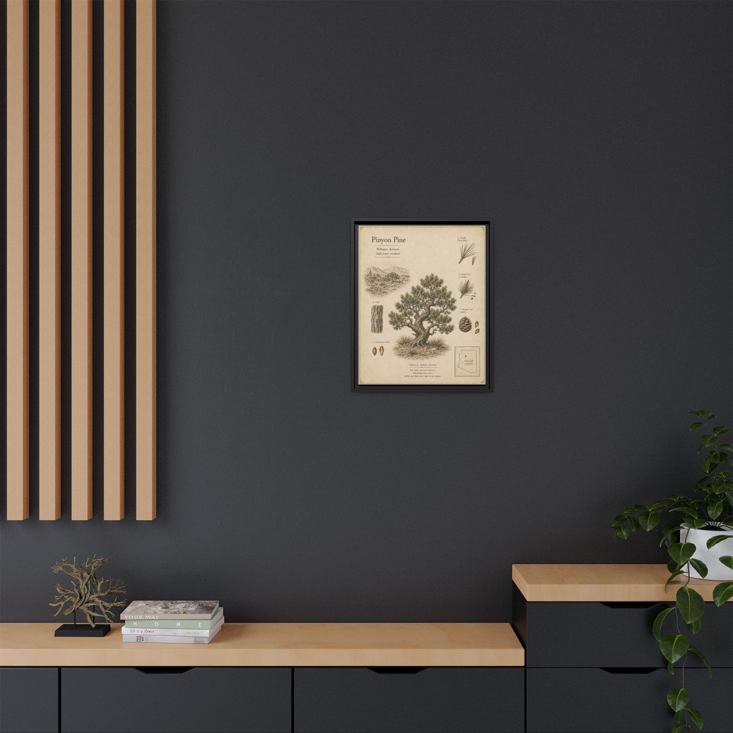 Pinyon Pine Botanical Print - Framed Matte Canvas Wall Art