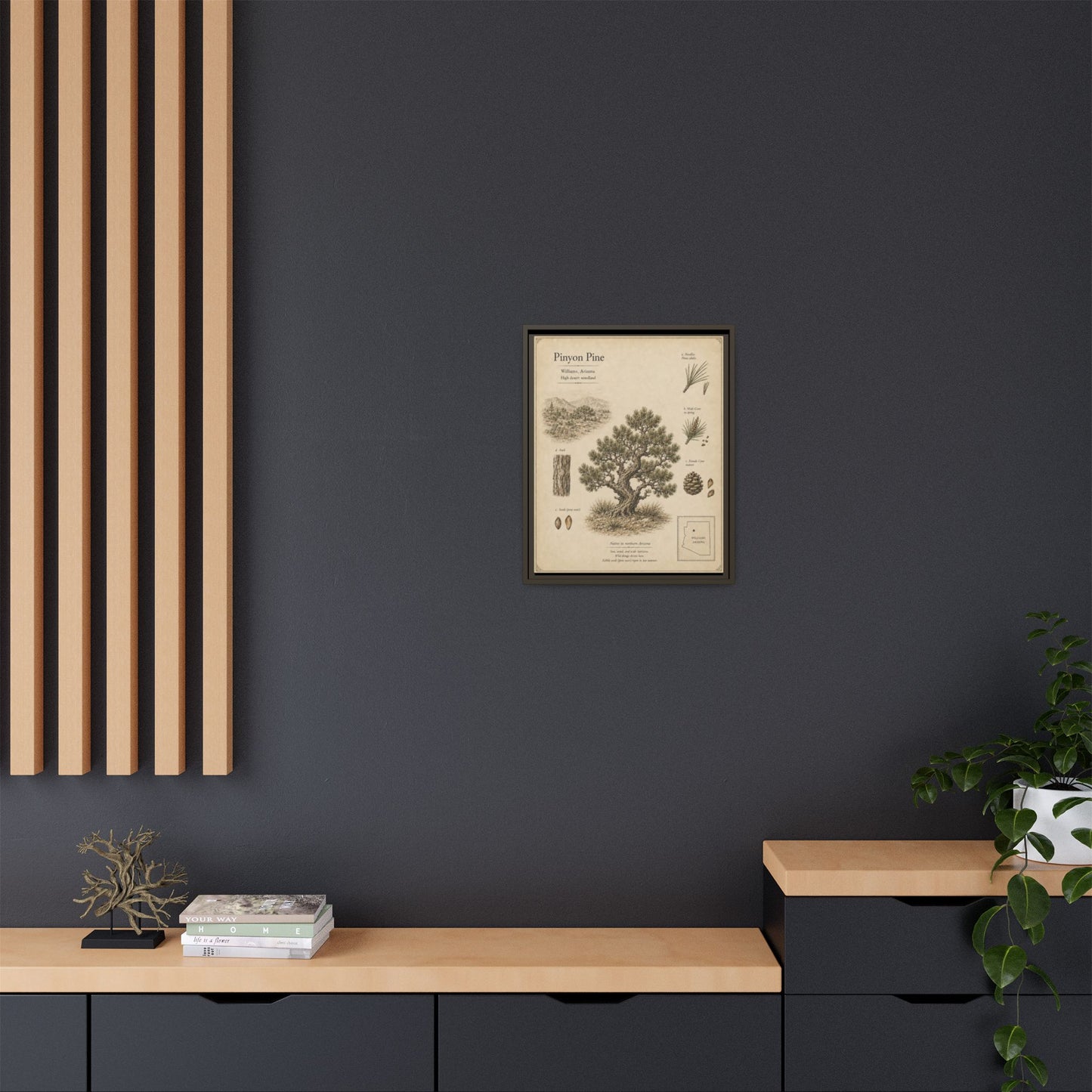 Pinyon Pine Botanical Print - Framed Matte Canvas Wall Art