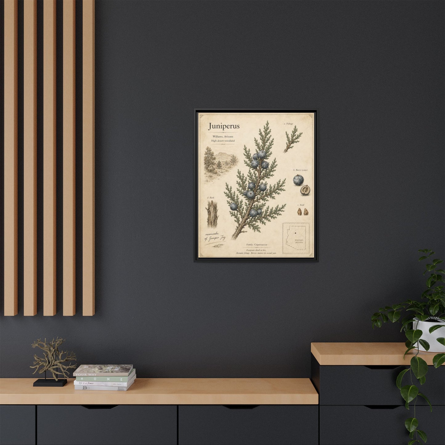 Juniperus Botanical Print — Framed Matte Canvas Wall Art