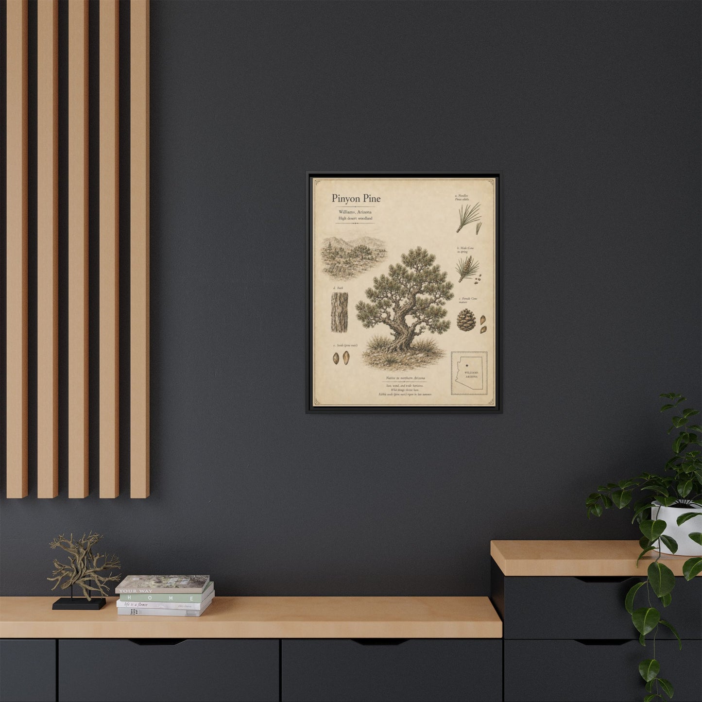 Pinyon Pine Botanical Print - Framed Matte Canvas Wall Art