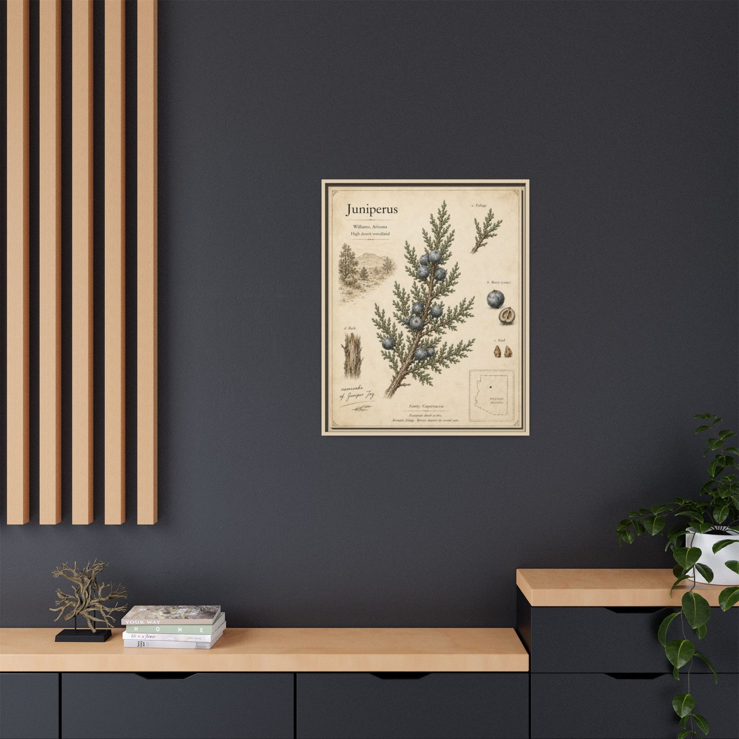 Juniperus Botanical Print — Framed Matte Canvas Wall Art