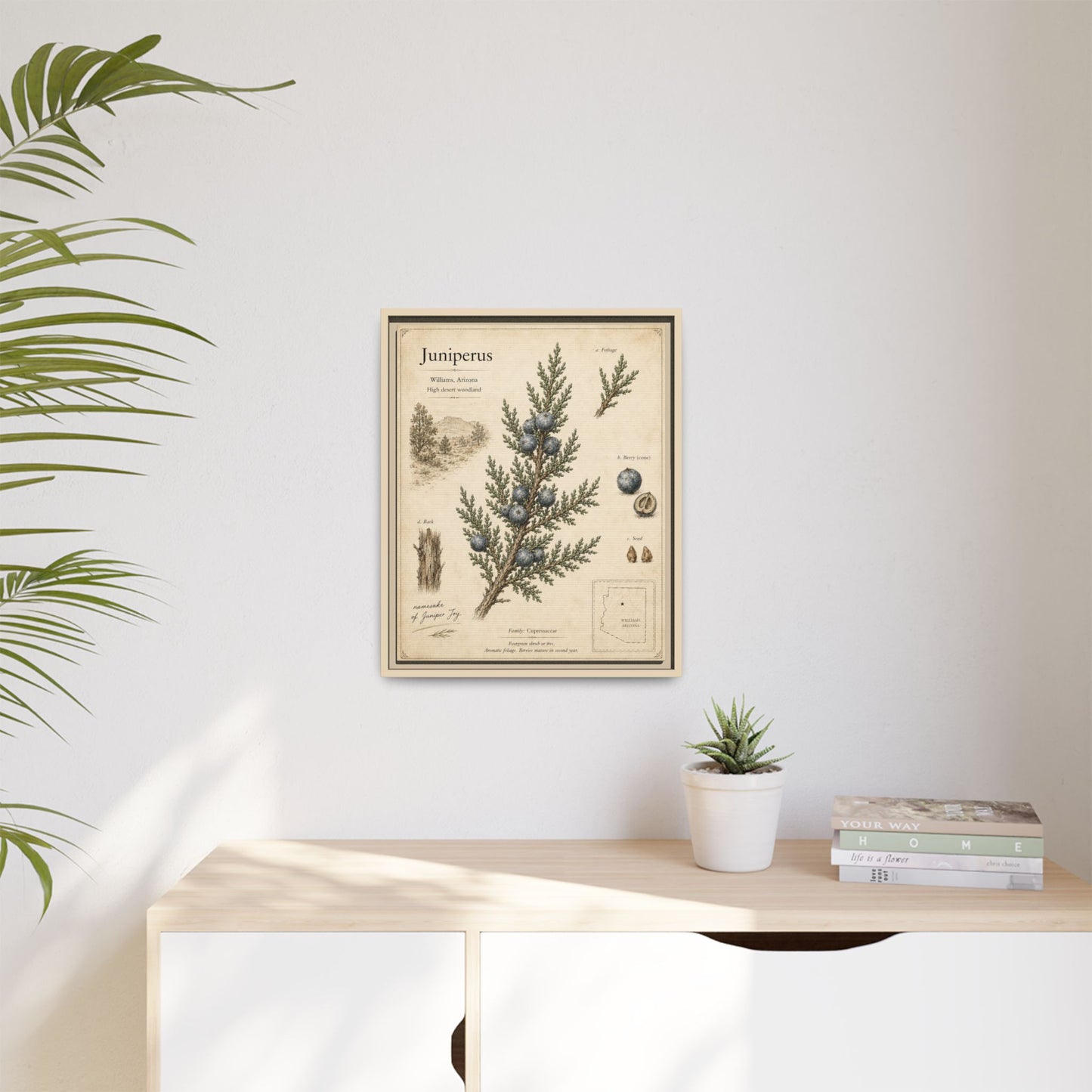 Juniperus Botanical Print — Framed Matte Canvas Wall Art