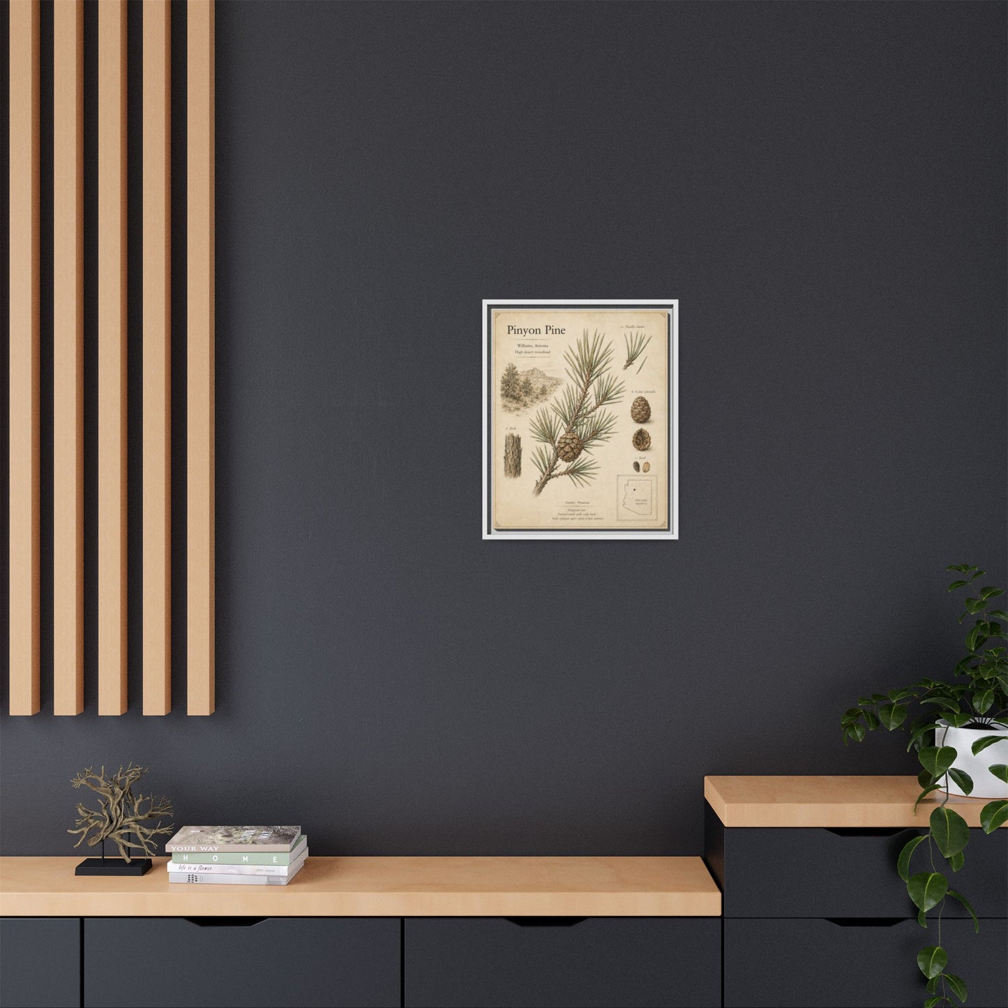 Pinyon Pine Botanical Print — Framed Matte Canvas Wall Art