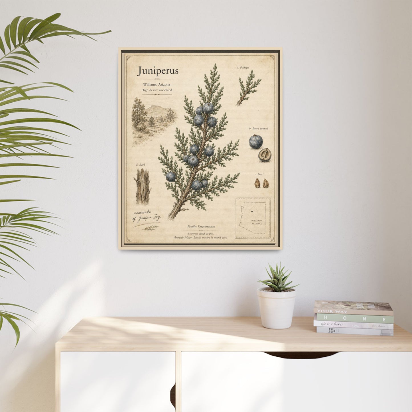 Juniperus Botanical Print — Framed Matte Canvas Wall Art