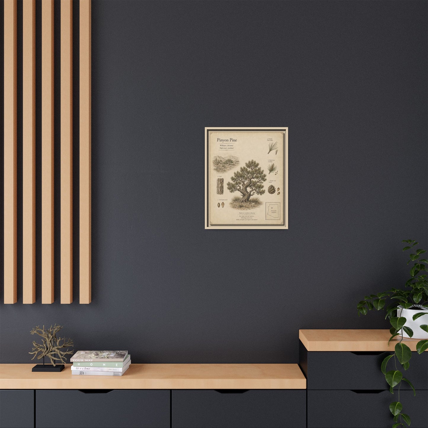 Pinyon Pine Botanical Print - Framed Matte Canvas Wall Art