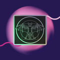 Vitruvian Bat Sticker – BatNation Collection